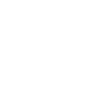 Our Team Button